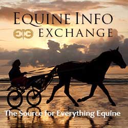 Equine Info Forum