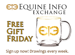 Free Gift Friday - Lovely Glass Mug with Gold EIE Logo