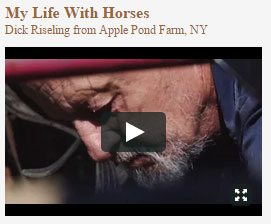 Dick Riseling - My Life with Horses