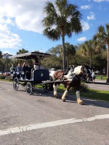 Tours in Charleston SC