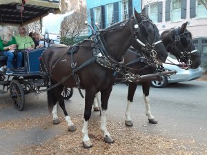 Lovely Matched Pair in Charleston SC