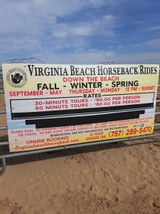 Virginia Beach Horse Rides