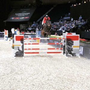  McLain Ward 