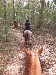 Trail Riding Middleton Place Charleston SC