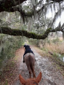 Trail Riding Middleton Place Charleston SC