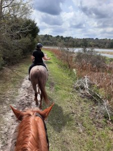 Trail Riding Middleton Place Charleston SC