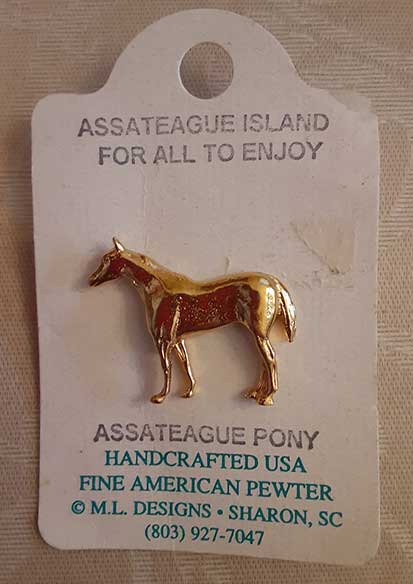 Assateague Island Horse Pin