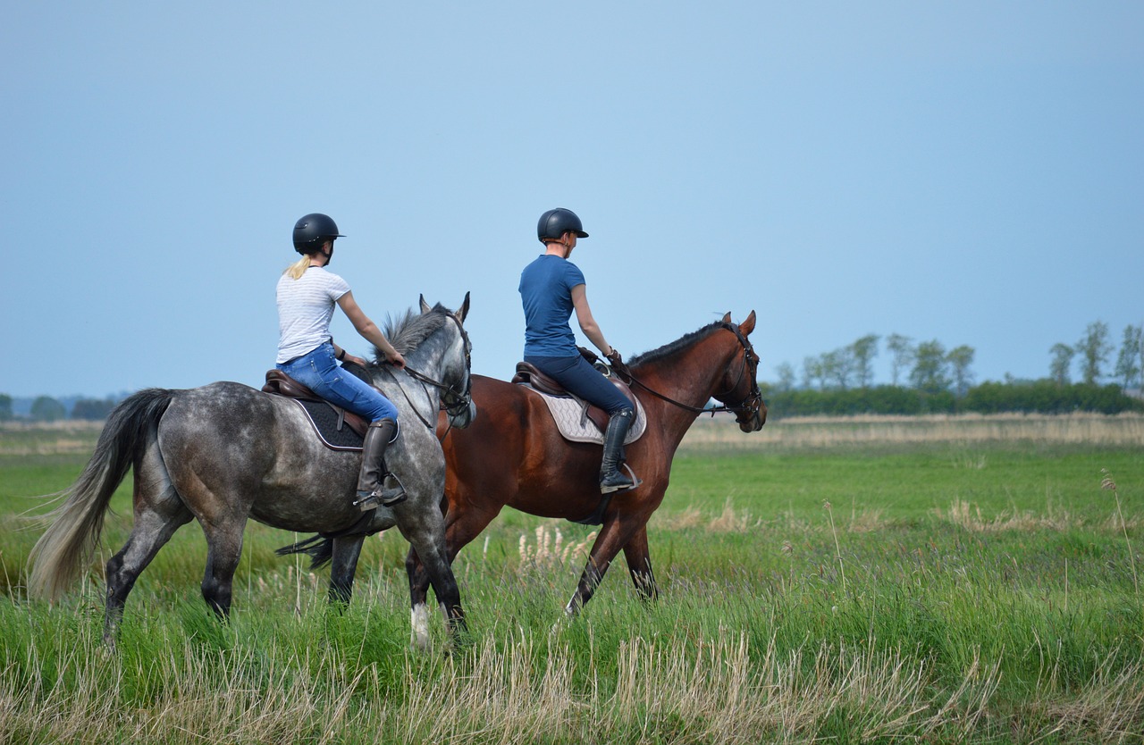 Equine Info Exchange - Trail Riding