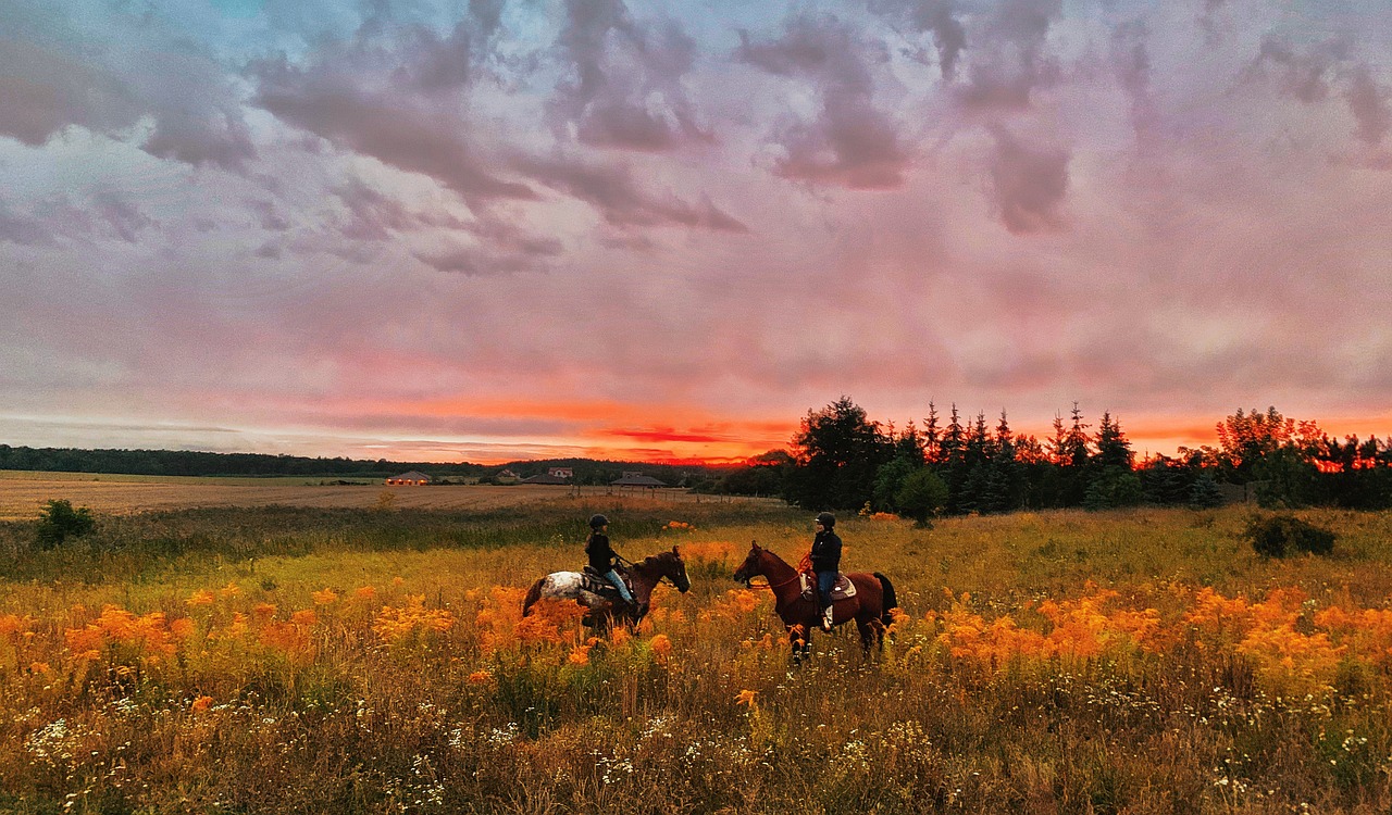Equine Info Exchange - Trail Riding