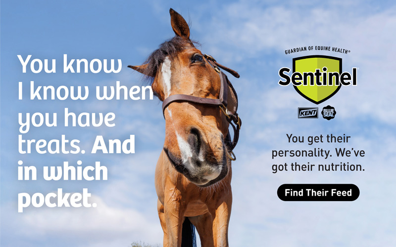 Sentinel Horse Treats