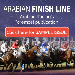 Arabian Finish Line