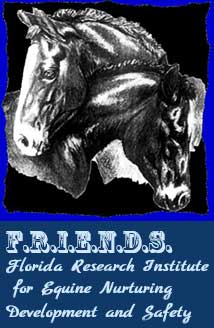 F.R.I.E.N.D.S. Horse Rescue & Sanctuary