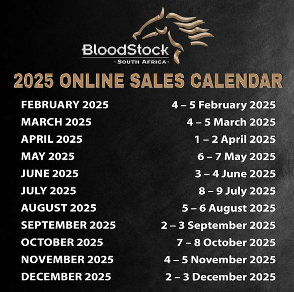 BllodStock Sales South Africa
