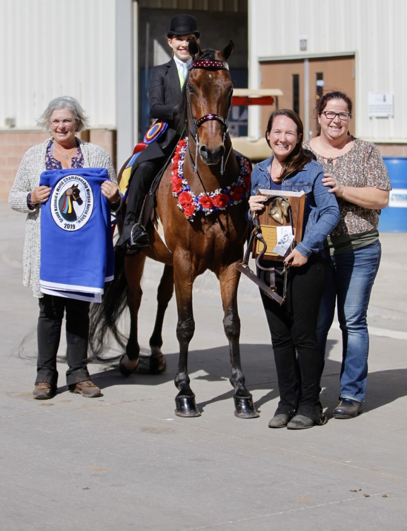 Lindsay Heliker, 12, on her horse Odyssey after winning a unanimous world championship in Oklahoma City in October. With her, from left, are her trainer Ann Woulfe Miller, left, assistant trainer Betsy Krutek and mother Rachael Heliker.(Courtesy of Kim Oplotnik) Lindsay Heliker, 12, on her horse Odyssey after winning a unanimous world championship in Oklahoma City in October. With her, from left, are her trainer Ann Woulfe Miller, left, assistant trainer Betsy Krutek and mother Rachael Heliker.(Courtesy of Kim Oplotnik)
