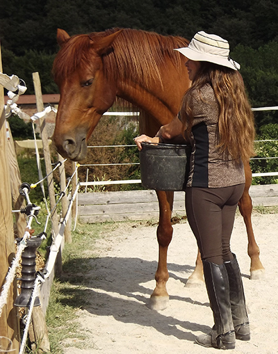Alessandra Deerinck - Human Horse Sensing