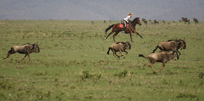 Safaris Unlimited, Kenya