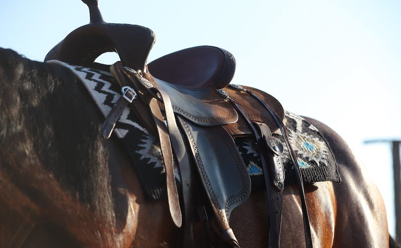 Photo by Tammy Sronce