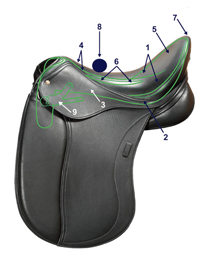 Photo courtesy of Certified Horsemanship Association