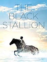 The Black Stallion - Amazon Prime Video