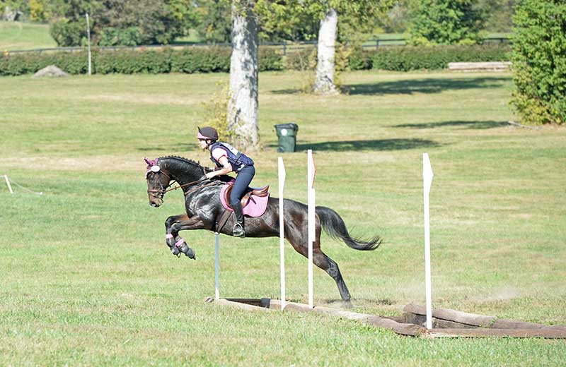 Eventing at the Thoroughbred Makeover - Oct 6, 2017
