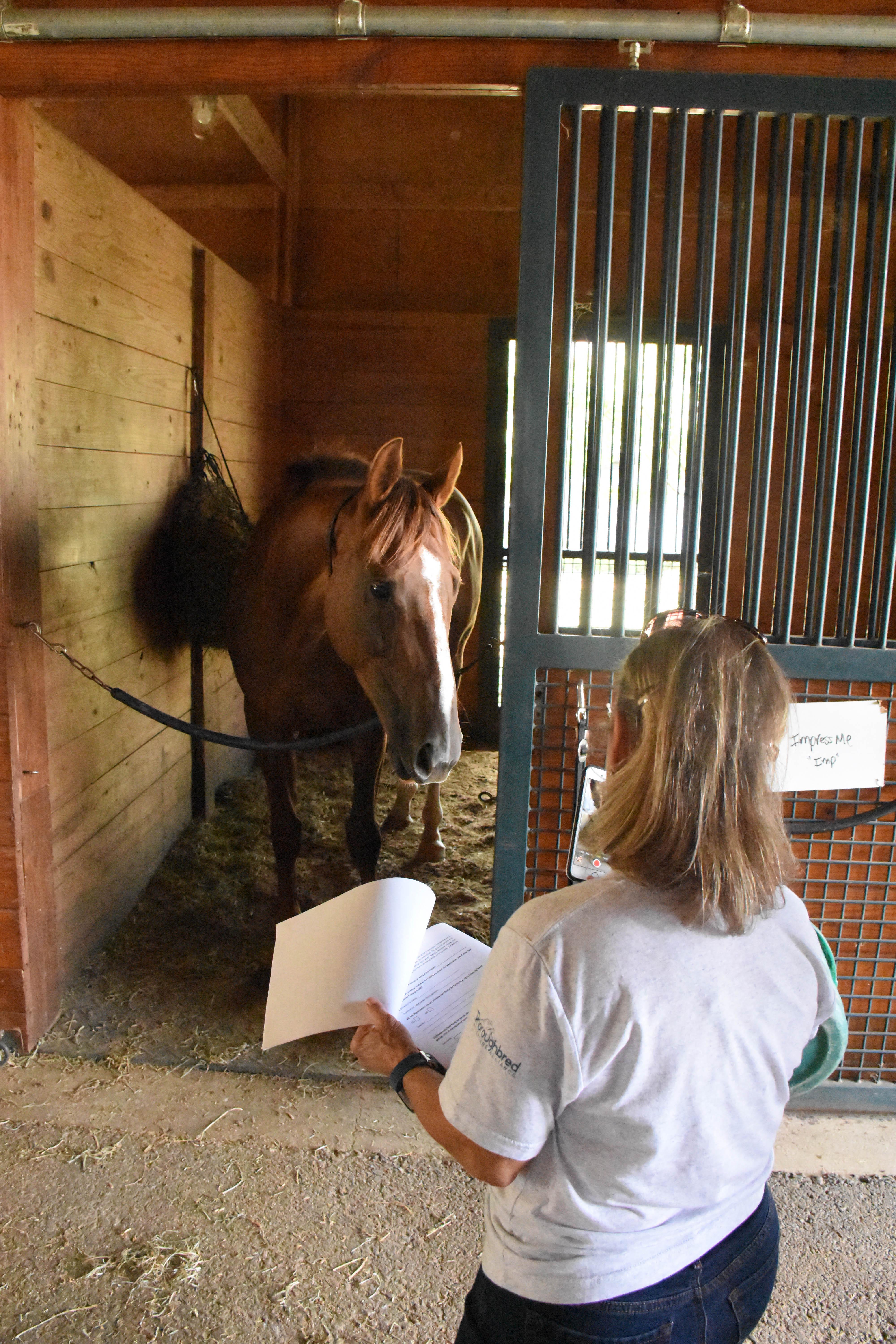An inspection at the Secretariat Center. (Melissa Bauer-Herzog photo) An inspection at the Secretariat Center. (Melissa Bauer-Herzog photo)