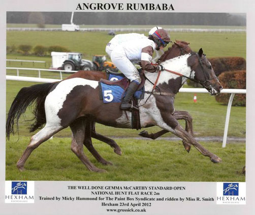Angrove Rumbaba was the first tobiano racehorse to be placed in a horse race under rules in the UK & Europe. Angrove Rumbaba was the first tobiano racehorse to be placed in a horse race under rules in the UK & Europe.