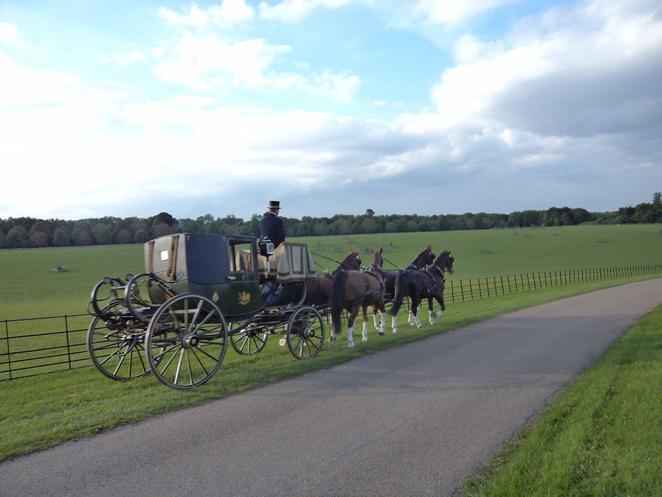 Four-in-hand private coach, photo courtesy of Haydn Webb Carriages Four-in-hand private coach, photo courtesy of Haydn Webb Carriages