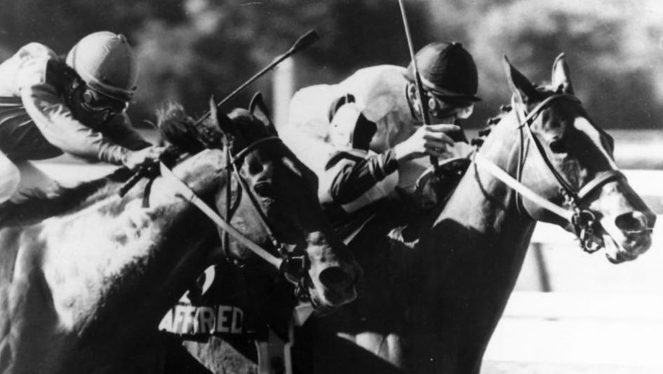Affirmed (inside) edges Alydar to win the 1978 Belmont Stakes and the Triple Crown. (Photo courtesy of BloodHorse/Bob Coglianese)