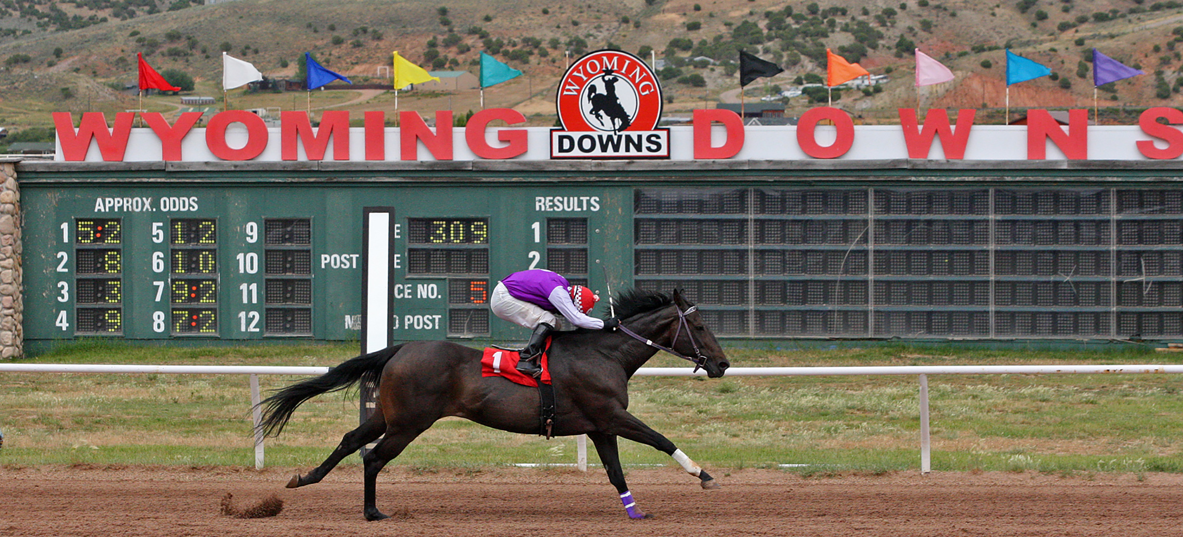 Wyoming Downs