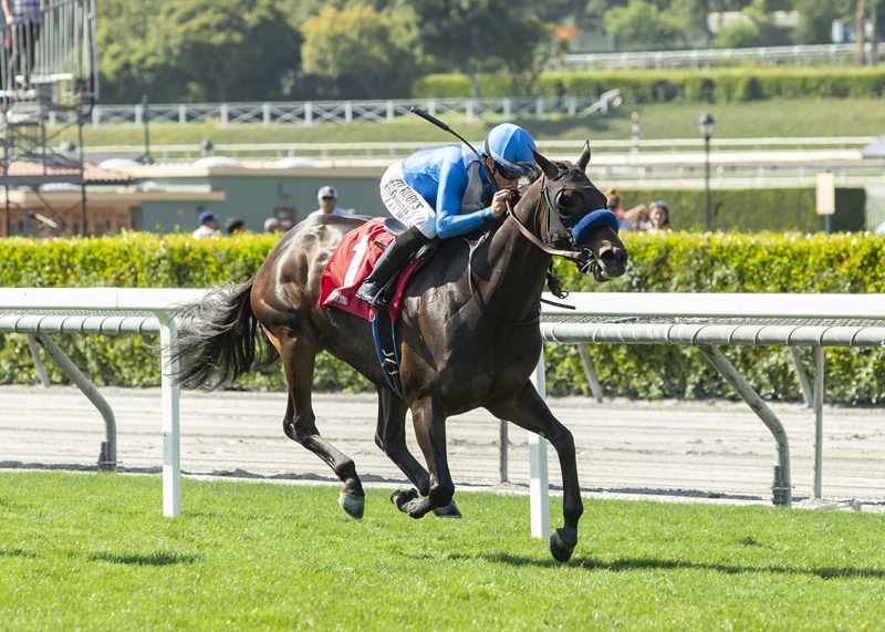 Cordiality and jockey Joseph Talamo win the 2019 Fran’s Valentine S. at Santa Anita | Benoit photo Cordiality and jockey Joseph Talamo win the 2019 Fran’s Valentine S. at Santa Anita | Benoit photo
