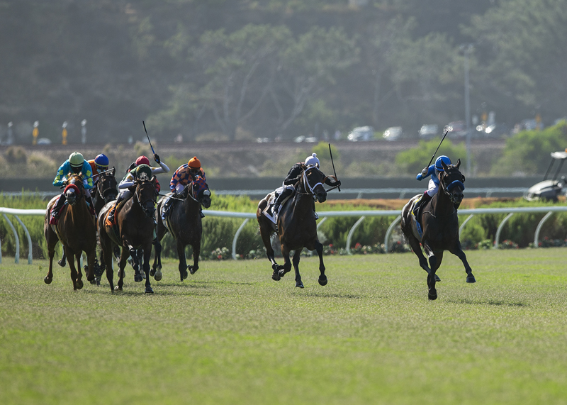 Crevier’s Cordiality wins the Osunitas Stakes July 12, 2020 at Del Mar | Benoit Photo Crevier’s Cordiality wins the Osunitas Stakes July 12, 2020 at Del Mar | Benoit Photo