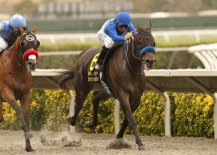 Points Offthebench and jockey Mike Smith hold off Goldencents to win the GI Bing Crosby Stakes in 2013 at Del Mar | Benoit photo Points Offthebench and jockey Mike Smith hold off Goldencents to win the GI Bing Crosby Stakes in 2013 at Del Mar | Benoit photo