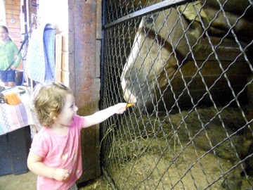 Heather Wallace - My Daughter is My Hero Heather Wallace - My Daughter is My Hero