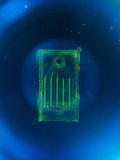 Pathtracker's Microfluidic chip