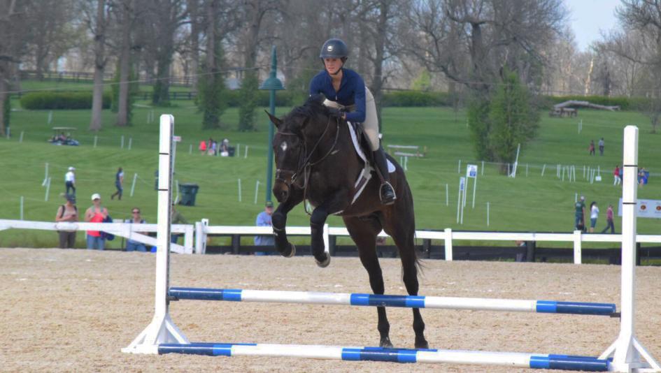 Zenyatta's son Cozmic One is among the retired racehorses Isabela De Sousa is retraining. (Courtesy Isabela De Sousa/photographer Libby Janson)