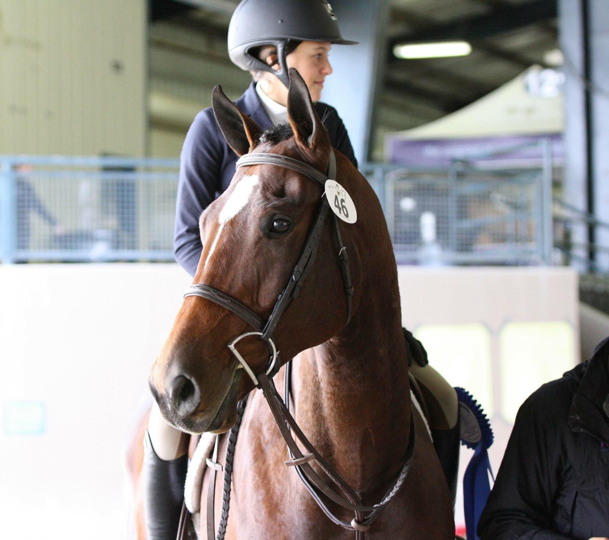 Dewey Square (Courtesy Isabela De Sousa/photographer Rachel Sowinski)
