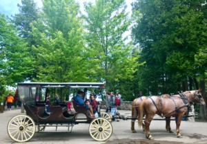 Experiencing Northern Michigan: Horse-Drawn Carriage Tour on Mackinac Island