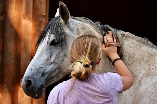 Study Suggests An ‘Emotional Transfer’ Between Humans & Horses