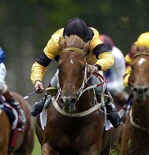 Equilume research shows Blue Light reduces bacterial and fungal growth