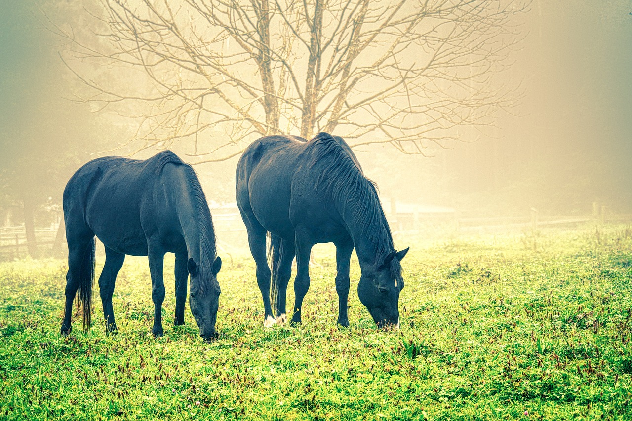 Photo courtesy of Getty Nutrition