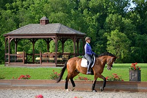 The rider with the gazebo in the background is Silva Martin (wife of Olympic rider, Boyd Martin)  Their farm, Windurra, is just a mile or so down the road from Horizon Structures.
