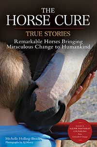 The Horse Cure, Horse and Rider Books