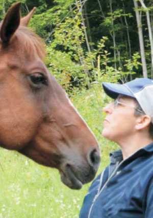 Horse Speak: The Equine-Human Translation Guide