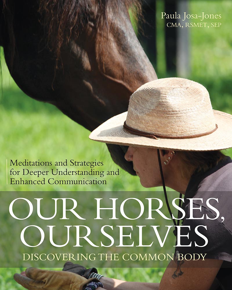 Our Horses, Ourselves: Discovering the Common Body by Paula Josa-Jones 