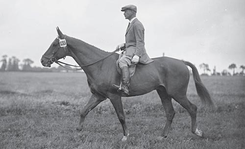 Felix Bürkner on Fortunas, 1932. A Grand Prix dressage horse should be this relaxed when riding outside of the arena.