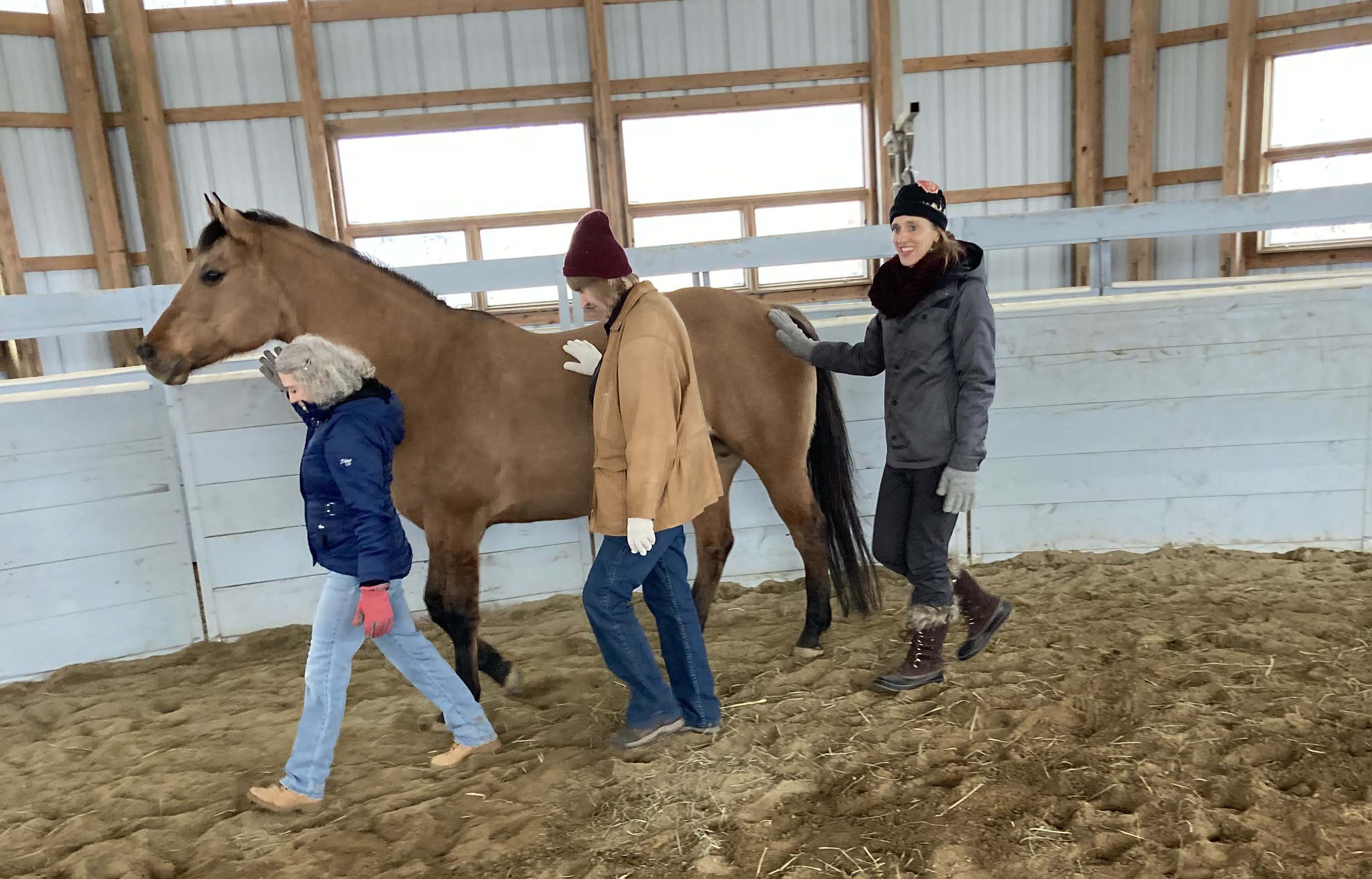 Participants had an opportunity to work in a group and experience one-on-one interactions with Bella. Katie Navarra coaching