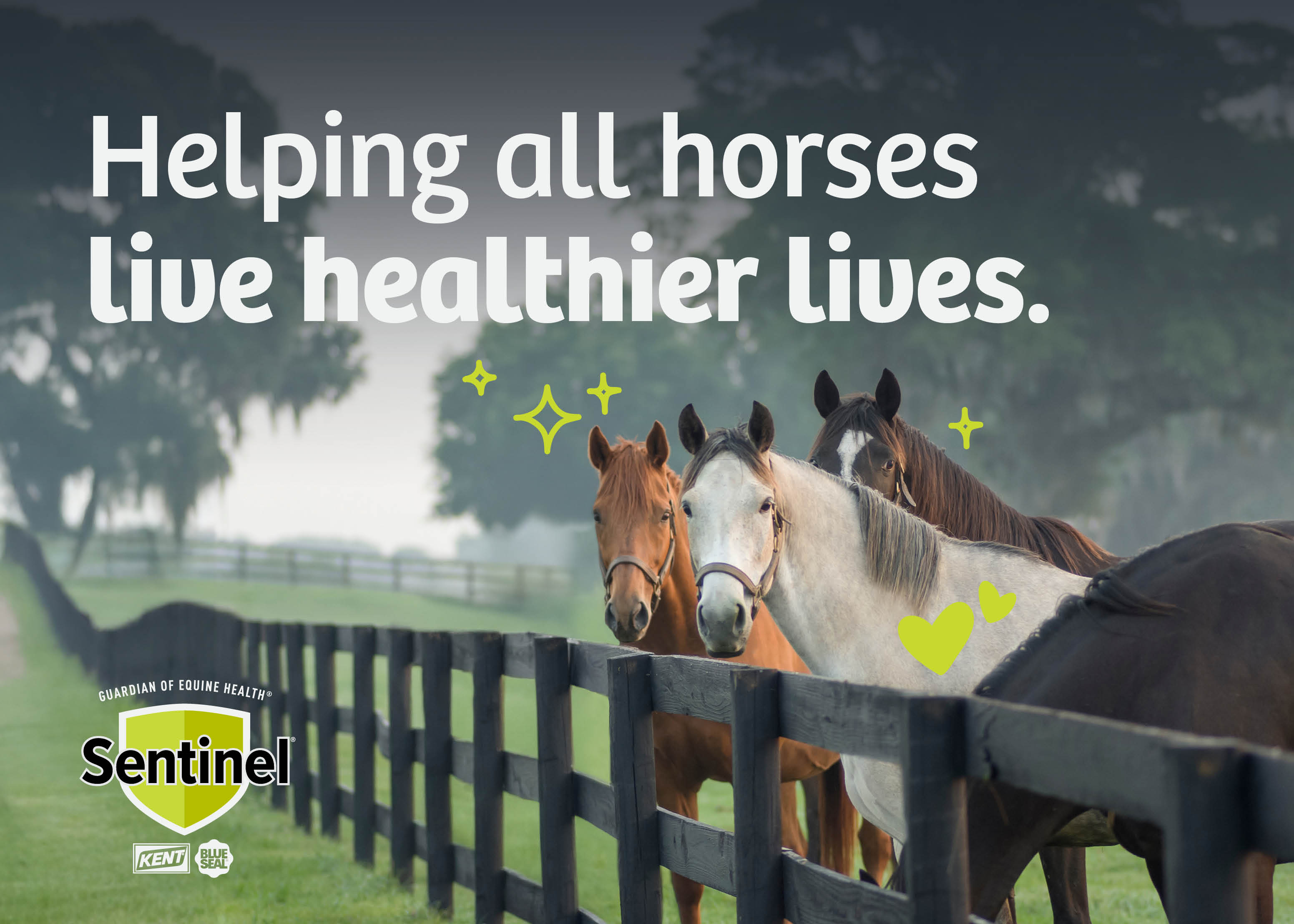 Helping all horses live healthier lives - eBook