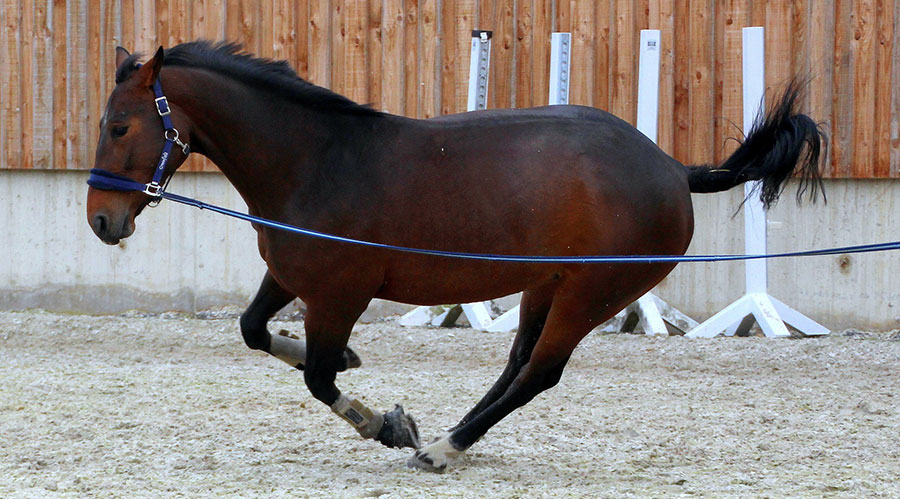 Photo courtesy of Pixabay Photo courtesy of Pixabay