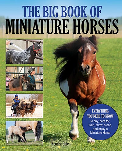 Big Book of Miniature Horses by Kendra Gale
