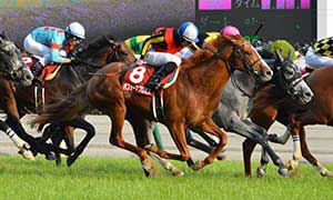  Photo  by Nadaraikon / CC BY-SA 3.0 (www.creativecommons.org/licenses/by-sa/3.0/deed.en)